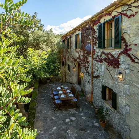 Muscarolas By 360 Villa