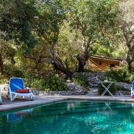 Muscarolas By 360 Villa Pollença